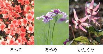 市民の花 さつき、あやめ、かたくり