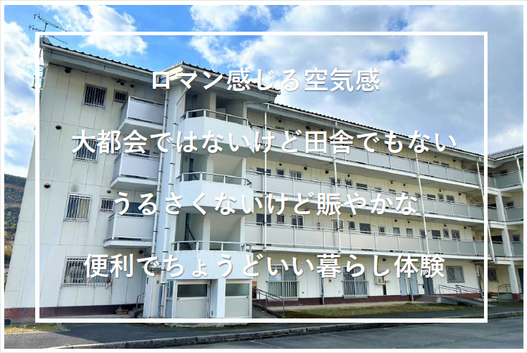 上下トライアルルーム