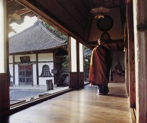 善昌寺鶯張り廊下の写真