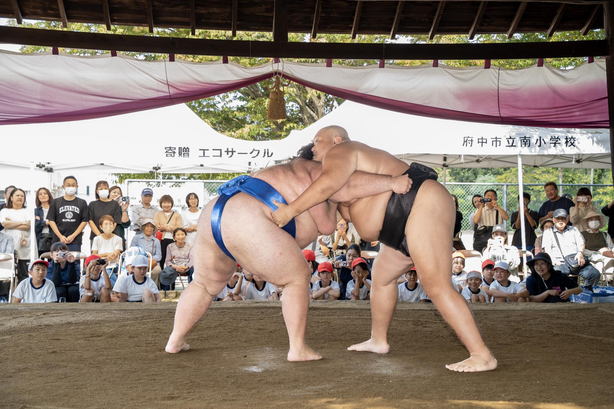 相撲大会の写真
