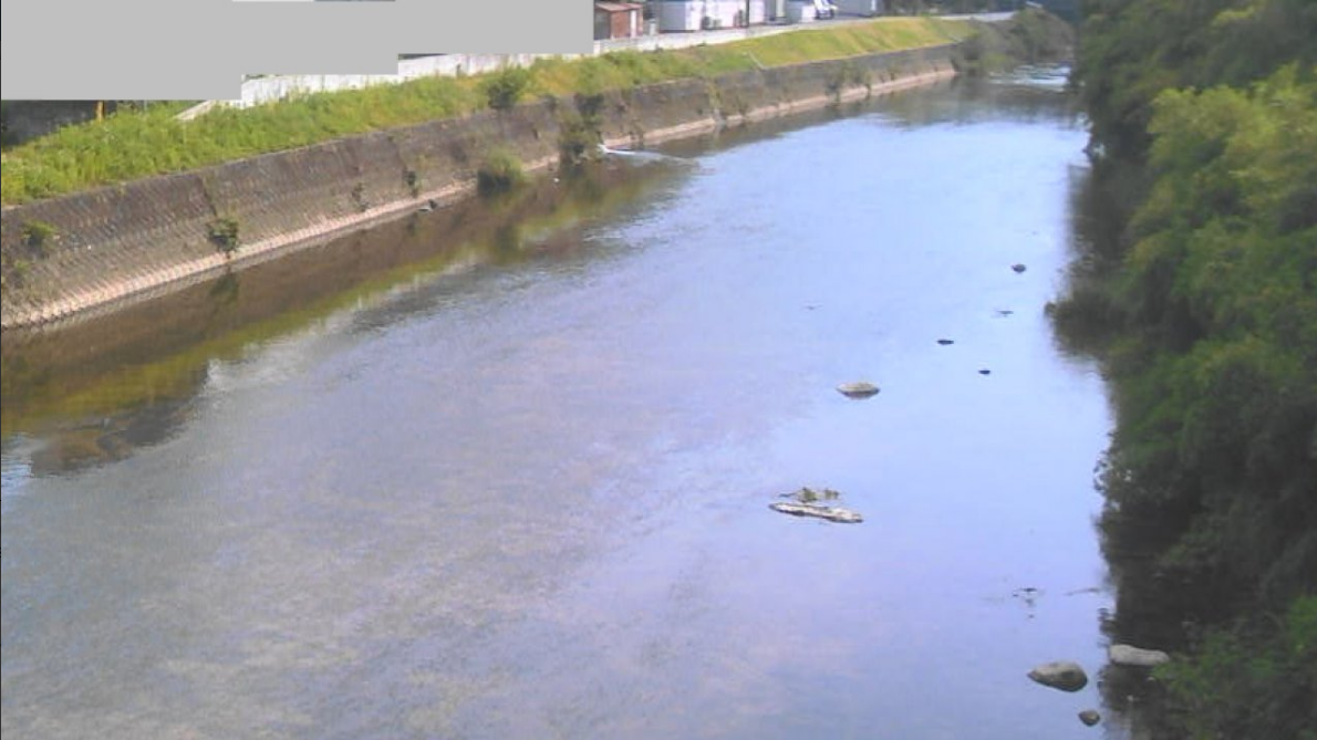 河南橋カメラ