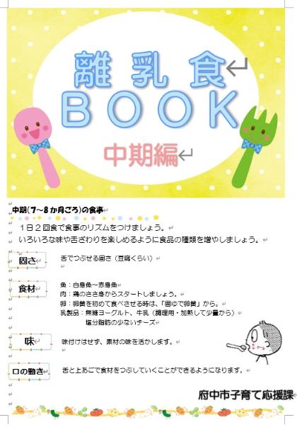 表紙中期