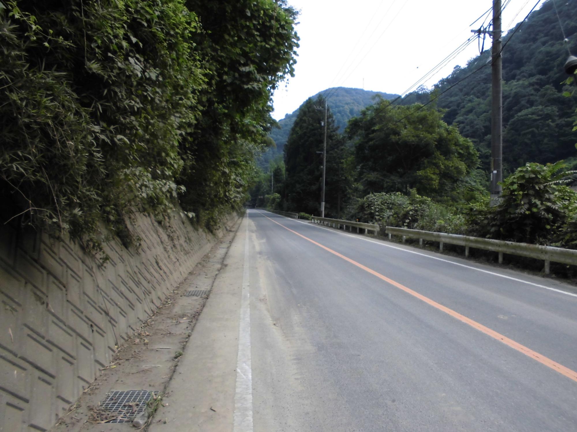 河佐～河面町内の土砂撤去作業完了後のようす