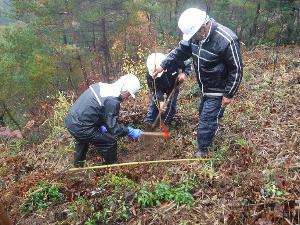 ボランティア団体による植樹活動事例