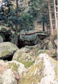 矢野の岩海にあるコウモリ岩の写真