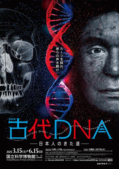 特別展「古代DNAー日本人のきた道ー」メインビジュアル