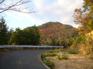幡立山城の近景写真