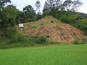 南山古墳近景の写真