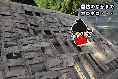 鐘撞堂のボロボロになった屋根の中
