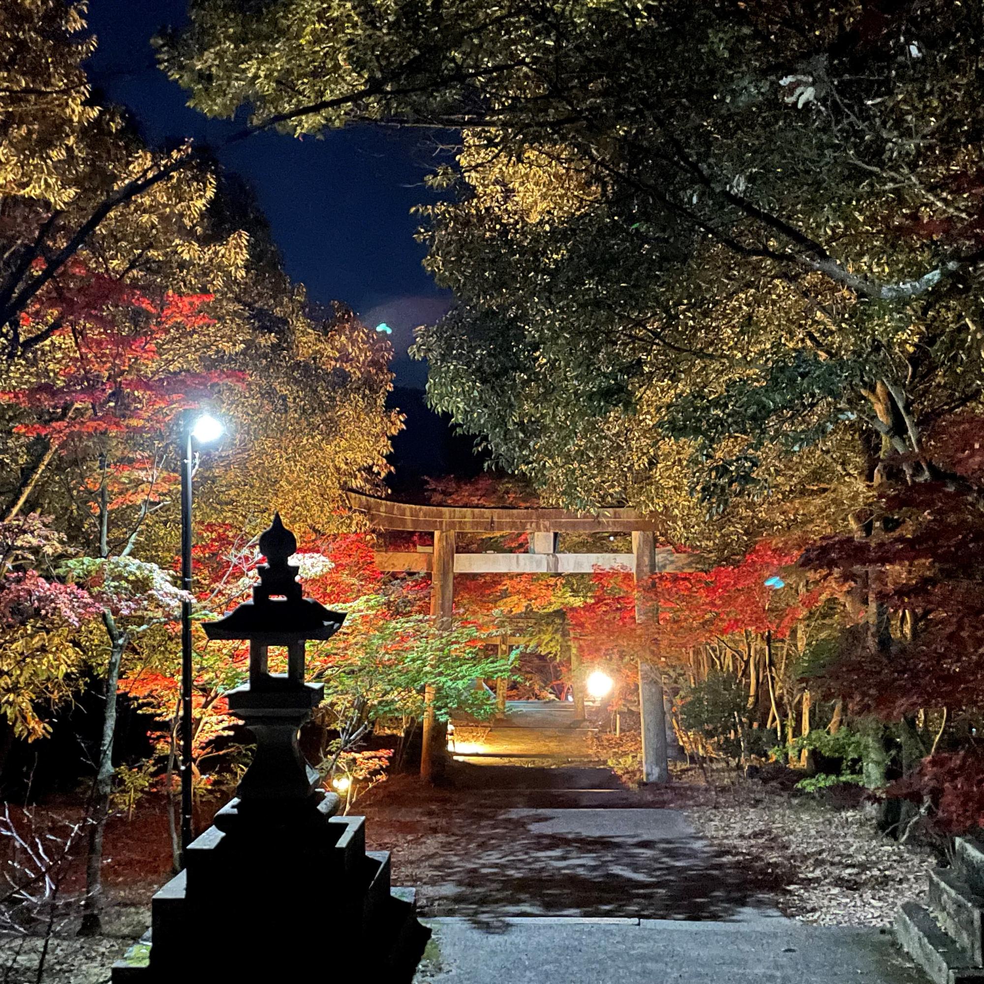 八幡神社紅葉