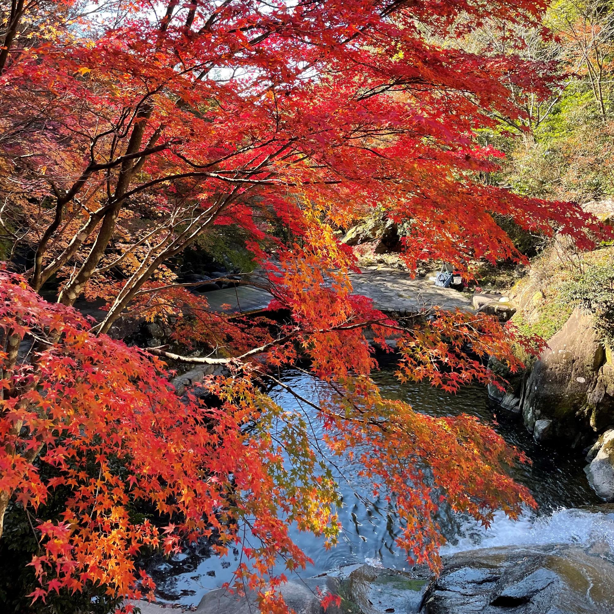 三郎の滝紅葉