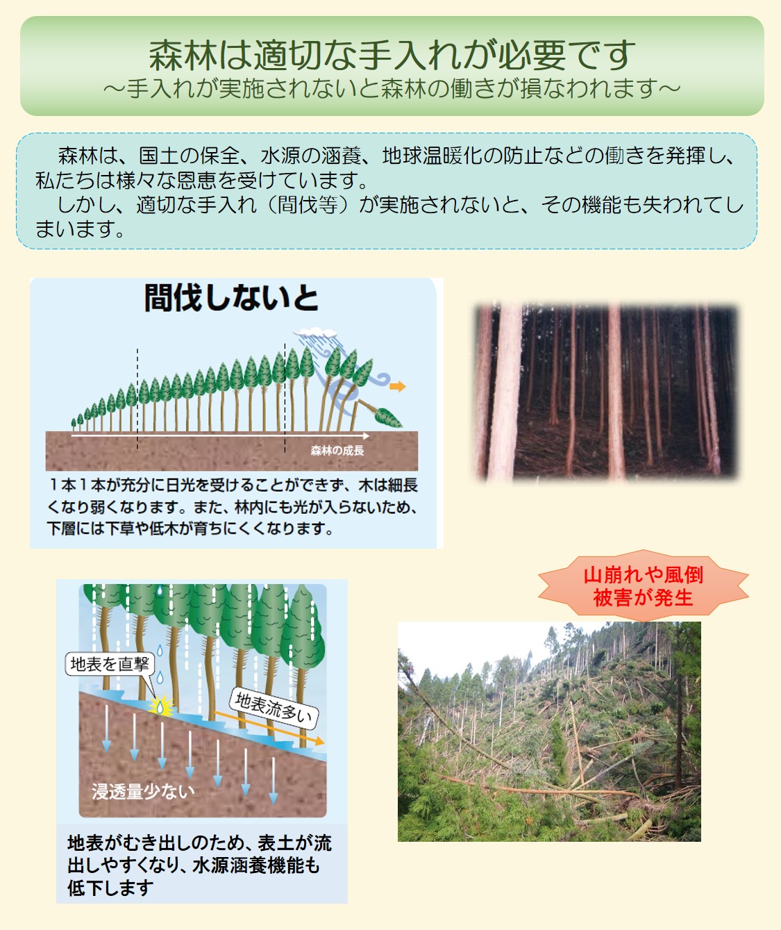 森林整備の必要性について